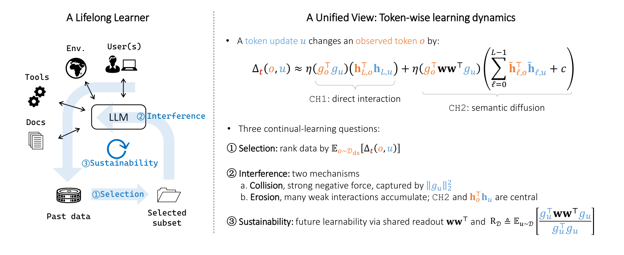 A learning-dynamics view of lifelong continual learning: selection, interference, and sustainability as three stages of the same update–behavior interaction.