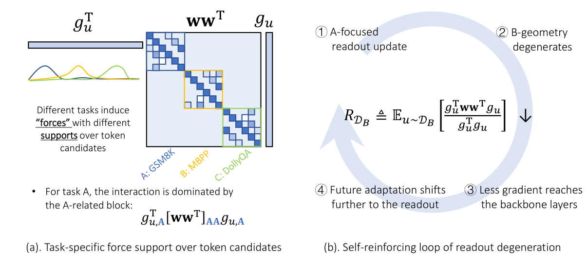 Left: different tasks induce token forces with different support over the shared readout geometry. Right: a self-reinforcing loop by which task-focused training can degenerate readout transmission for other tasks.